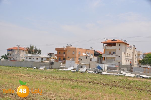 wallludshaneer509 (15).JPG